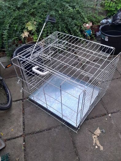 dog cage