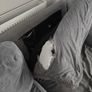 FREE Large 2 Seater Couch Image 2