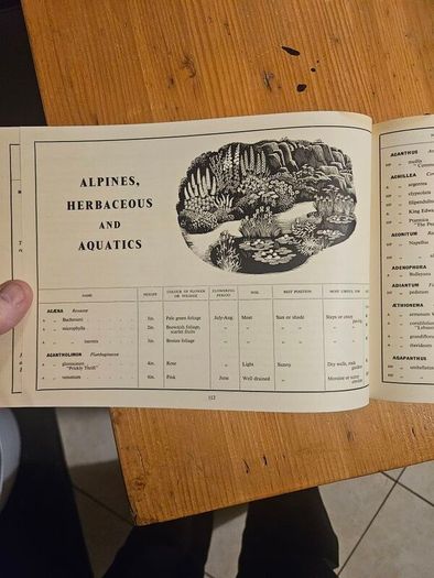 Dartington Hall Ltd Gardens Catalogue from 1935, featuring black-and-white botanical and landscape illustrations on the cover. In good condition. See photos for same.