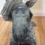 Lemieux toy pony Image 3