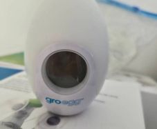 GroEgg