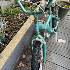 Girls Apollo Sparkle Mint Green Bike 16" Wheel