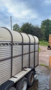 Hamilton cattle trailer