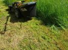 lawn care landscape and garden services Image 10