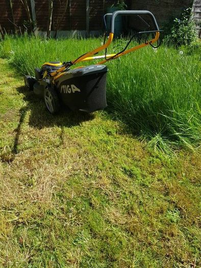lawn care landscape and garden services