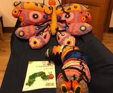 The Very Hungry Caterpillar Book + Butterfly + Caterpillar