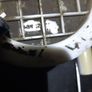 Fuel Pump Diesel Pump VW Audi a6 4f v6 2.7 3.0 4f0919050f Image 3