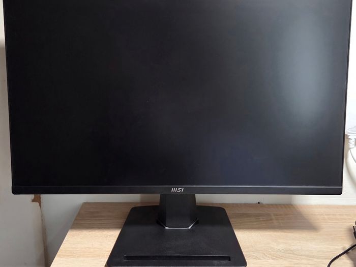MSI PRO MP251 24.5" Full HD 100Hz Adaptive-Sync IPS Monitor