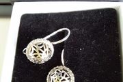 new silver earrings