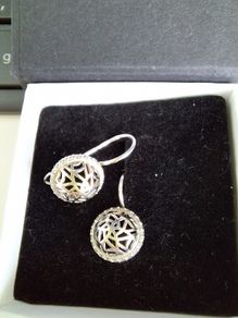 new silver earrings