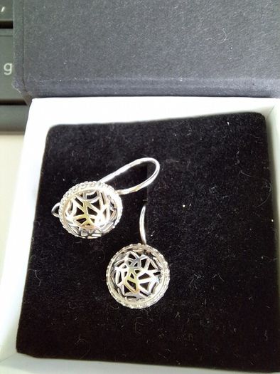 new silver earrings