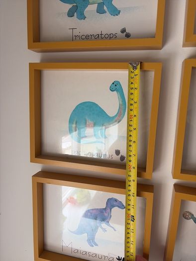 Dinosaur prints and frame