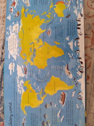 Usborne Look Inside Sea and Oceans