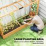 Raised Planter with Trellis, Wooden Raised Bed for Garden with Hanging Roof and Drainage Holes, Outdoor Planter Box Image 4