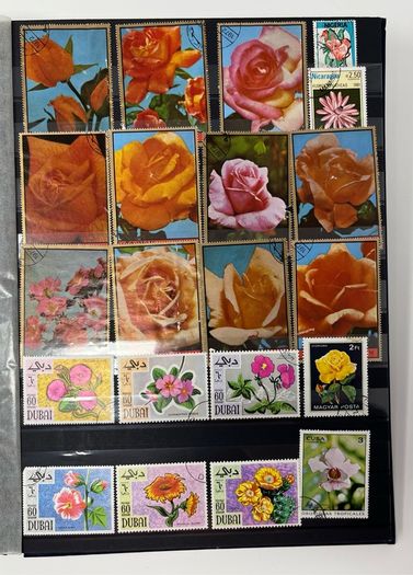 Ace Black 32 page/ 16 leaf Stamp Album with over 900 stamps. Thematic of Animals, Plants, Classic Cars, Space, Trains, Sport & Disney noted.