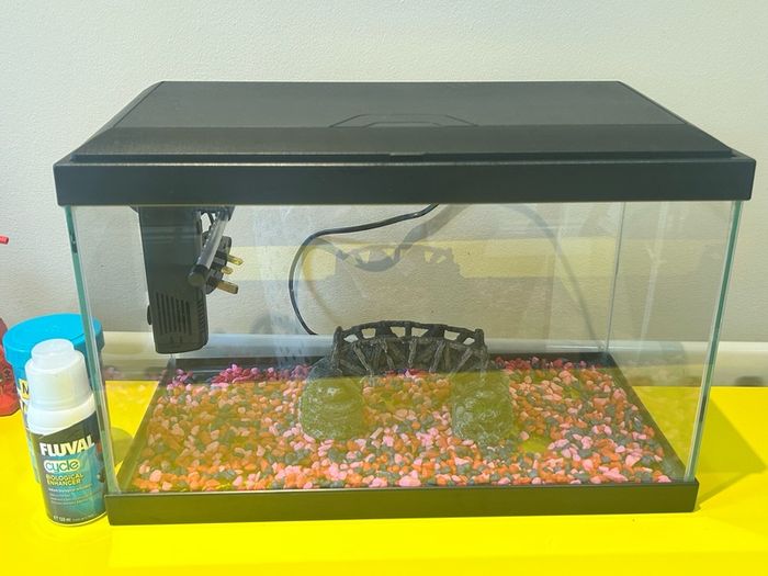 fish tank