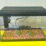fish tank Image 3