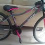 Girls Bike Image 8