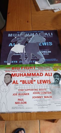 Boxing programme