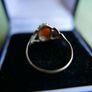 Vintage 9ct  Yellow Gold 375 Gold Oval Shell Cameo Ring 1,4g size O Image 6