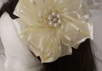Wedding, occasion hairpiece