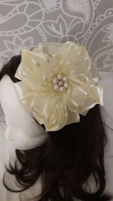 Wedding, occasion hairpiece