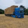 Straw , barley & weaten Image 8