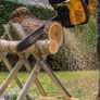 Chainsaw 5 Year Warranty Image 7