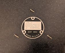 Switchplate Cover for Les Paul