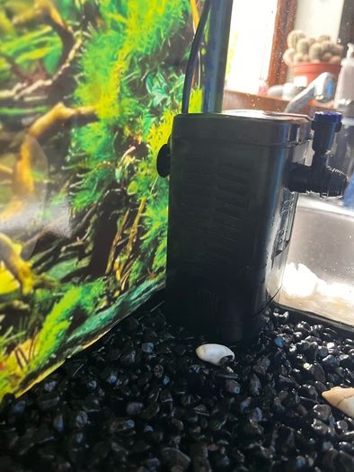 Fish tank