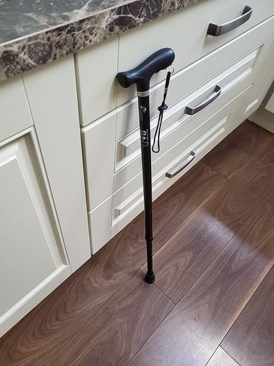 Walking stick telescopic