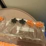 halloweeen bundle Image 7