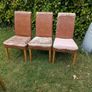 Dining Chairs Image 2