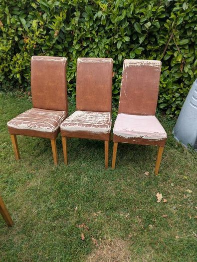 Dining Chairs
