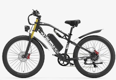 Crazybird XF900 Electric Bike
