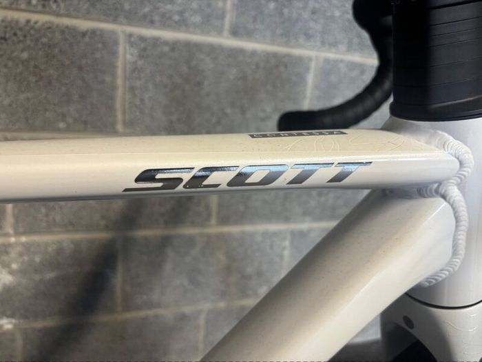 Adult Bike