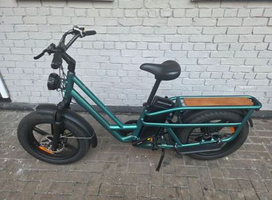 Electric bike