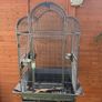 Large Bird Cage for Sale Image 3
