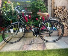 Ladies bike