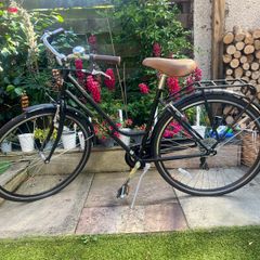 Ladies bike