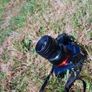 helios 44m Image 4
