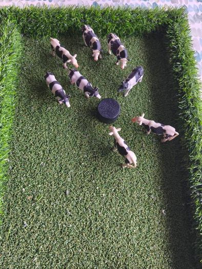 Cow Field