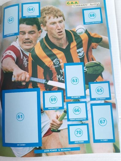 1994 GAA memorabilia