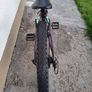 Orbea MX24 bike Image 7