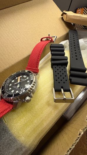 Citizen Promaster Eco Drive Watch