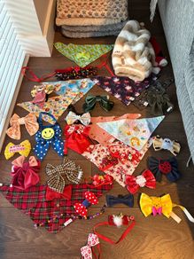Various dog Bandanas, bows, toys, jumpers and blankets