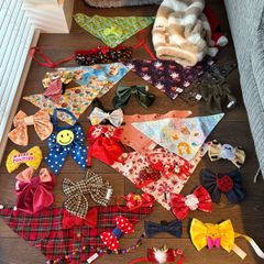 Various dog Bandanas, bows, toys, jumpers and blankets