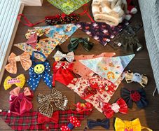 Stunning dog bows, bandanas and blankets