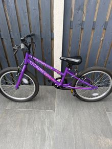 Apollo envy junior bike