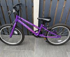 Apollo envy junior bike